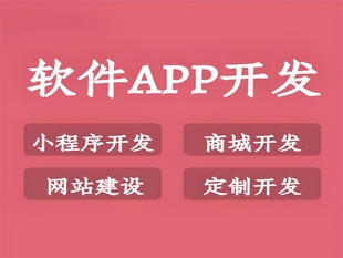 南昌有实力的软件开发公司,商城APP小程序开发