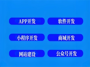 互联网公司,南昌APP软件小程序商城网站开发