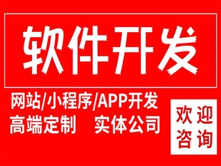 南昌多语言开发软件公司,网站小程序APP开发