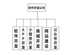 软件服务开发商,南昌商城网站小程序APP开发