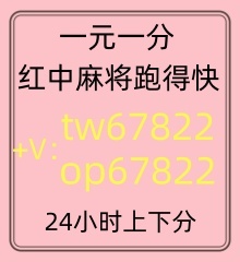 哪里有一元一分红中麻将跑得快微信群..