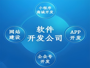 南昌软件技术咨询公司,做小程序网站APP开发