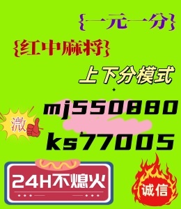【无需等待】24小时可参与广东红中麻将一元一分玩法