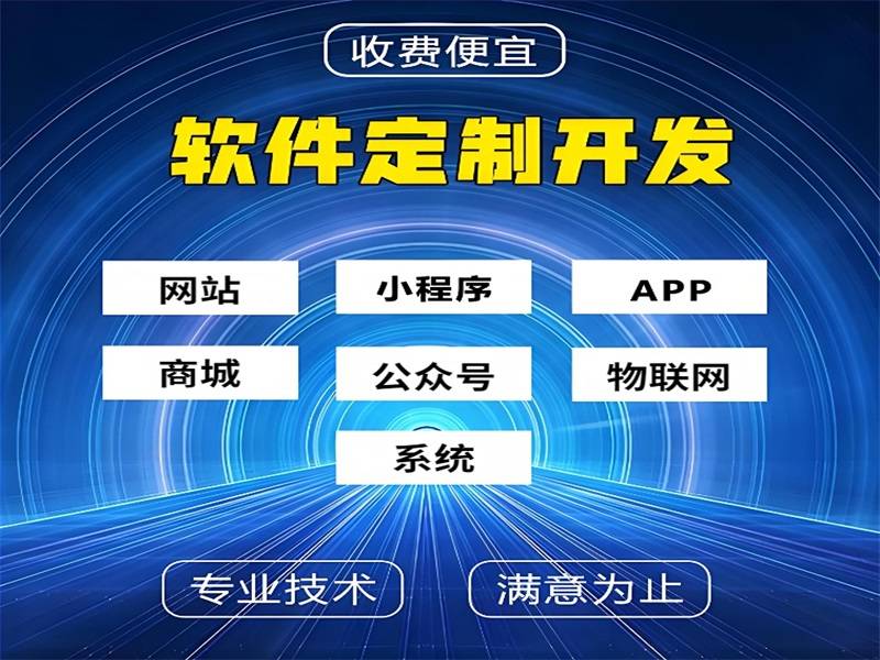 2025-04-24南昌有前景的小程序APP网站软件开发公司