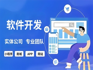 南昌电商行业小程序商城网站APP软件开发