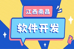 南昌本地提供网站小程序app开发公司