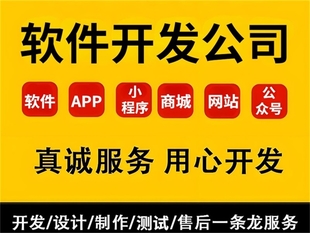 南昌商城网站小程序APP软件开发的标杆公司