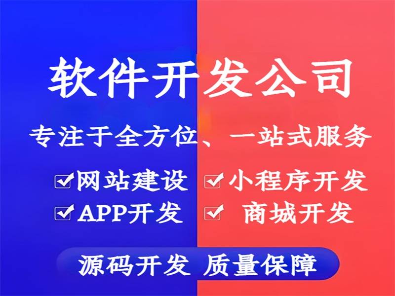 2025-05-29南昌认真负责的网站小程序APP软件开发公司