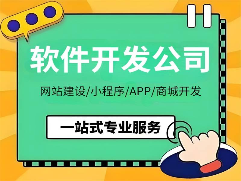2025-06-03南昌网站建设19年的小程序APP软件开发公司