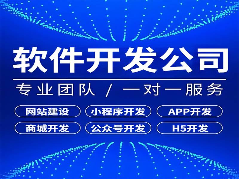 2025-07-01南昌有能力做网站小程序APP软件开发的公司