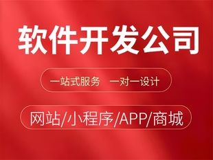 南昌有声誉的做网站小程序APP软件开发公司