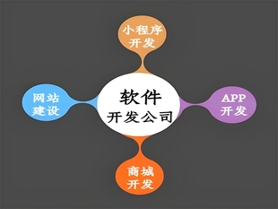 江西按需开发公司,南昌做网站小程序APP软件