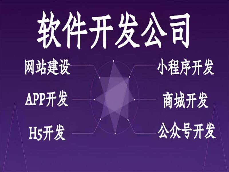 2025-07-24南昌按功能报价的网站小程序APP软件开发公司