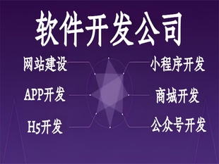 南昌按功能报价的网站小程序APP软件开发公司