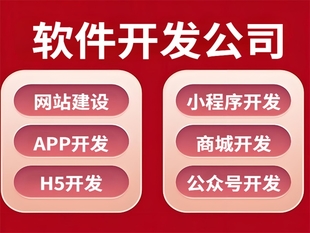 南昌开发技术全面的公司,做网站小程序APP软件