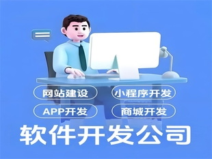 南昌有十多年经验的做网站小程序APP软件开发公司