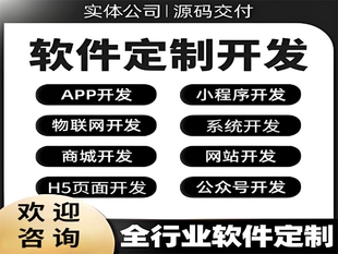 南昌有十多年经验的做网站小程序APP软件开发公司