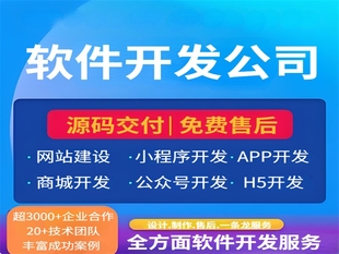 南昌技术型服务公司,做网站小程序APP软件开发