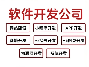 南昌一站式技术开发团队,做网站小程序APP软件