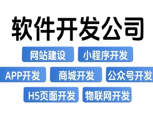 南昌可全方面开发网站小程序APP软件的公司