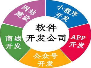 南昌有开发经验的公司,做网站小程序APP软件