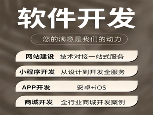 江西南昌精通做各类网站小程序APP软件开发的公司
