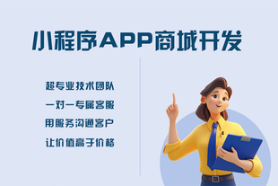 南昌小程序APP商城开发网站制作公司哪家好