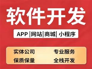 南昌技术服务公司,做网站小程序APP软件开发