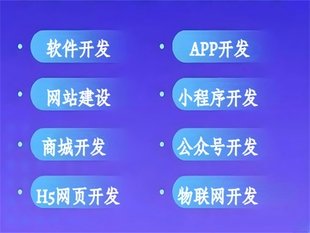 南昌技术服务公司,做网站小程序APP软件开发