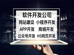 南昌一体化软件开发公司,做网站小程序APP