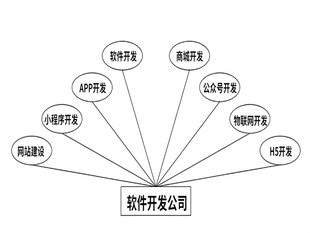 南昌高质量软件产品开发公司,做网站小程序APP