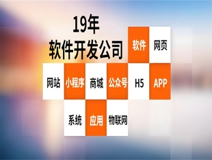 互联网技术公司,南昌做网站小程序APP软件开发