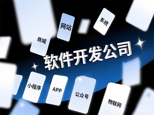 南昌一直在做网站小程序APP软件开发的公司