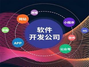 南昌一直在做网站小程序APP软件开发的公司