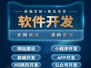 南昌强大的开发团队,做网站小程序APP软件