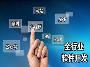 南昌强大的开发团队,做网站小程序APP软件