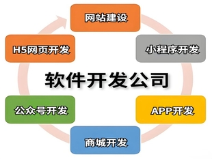 南昌做软件的技术团队,做网站小程序APP开发
