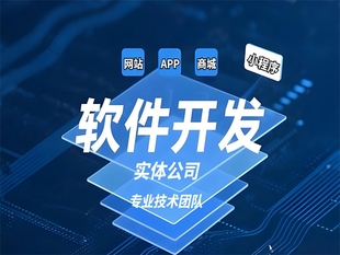南昌软件应用研发公司,做网站小程序APP开发