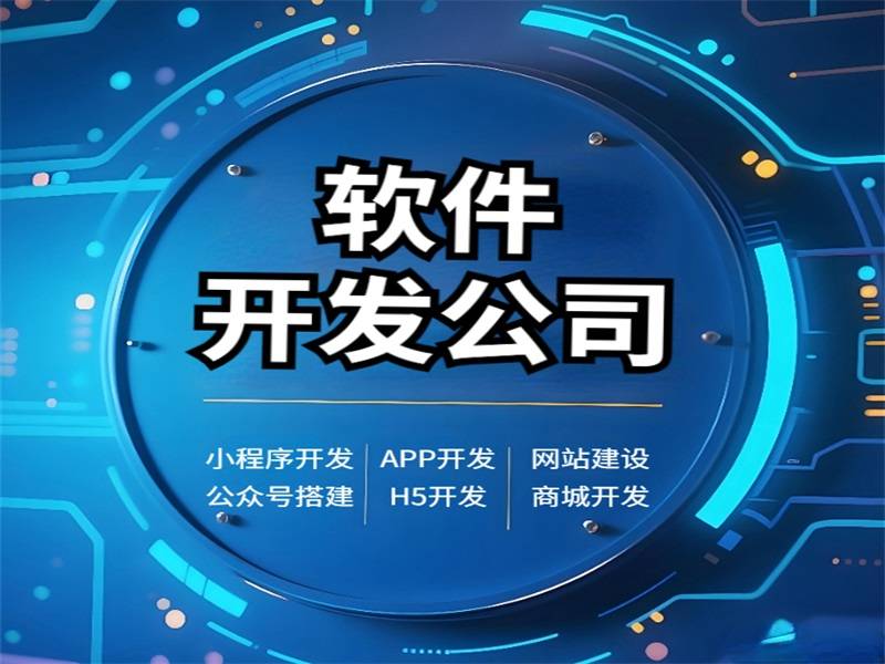 2025-12-02南昌小程序开发制作公司,做网站APP软件开发