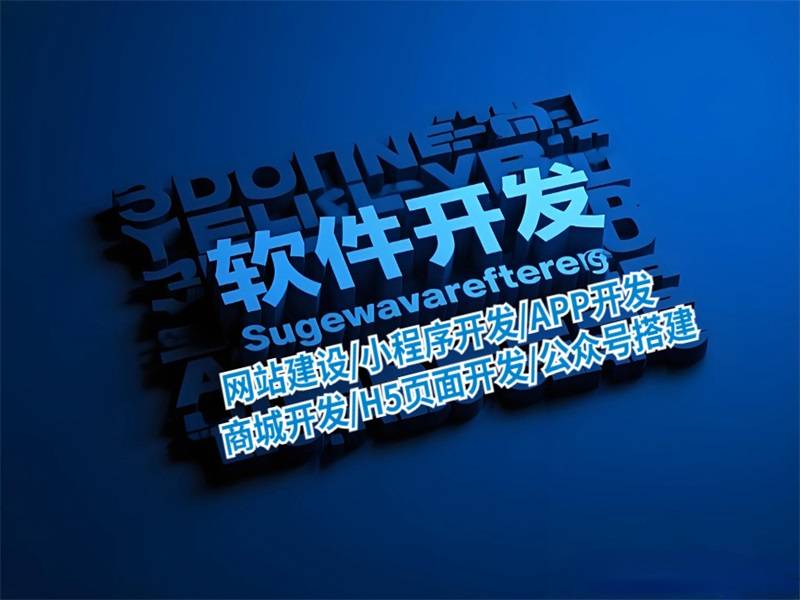2025-12-04南昌软件技术开发外包公司,做网站小程序APP