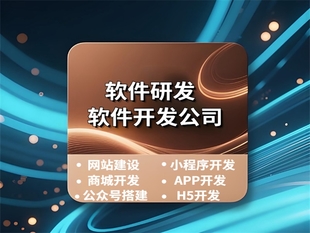 南昌软件开发厂家,做网站小程序APP开发公司