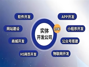 南昌程序开发公司,做网站商城小程序APP软件