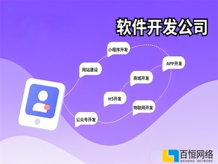 江西不做模版网站小程序APP软件开发的公司