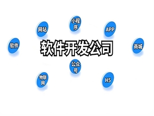 南昌核心技术开发公司,做网站小程序APP软件