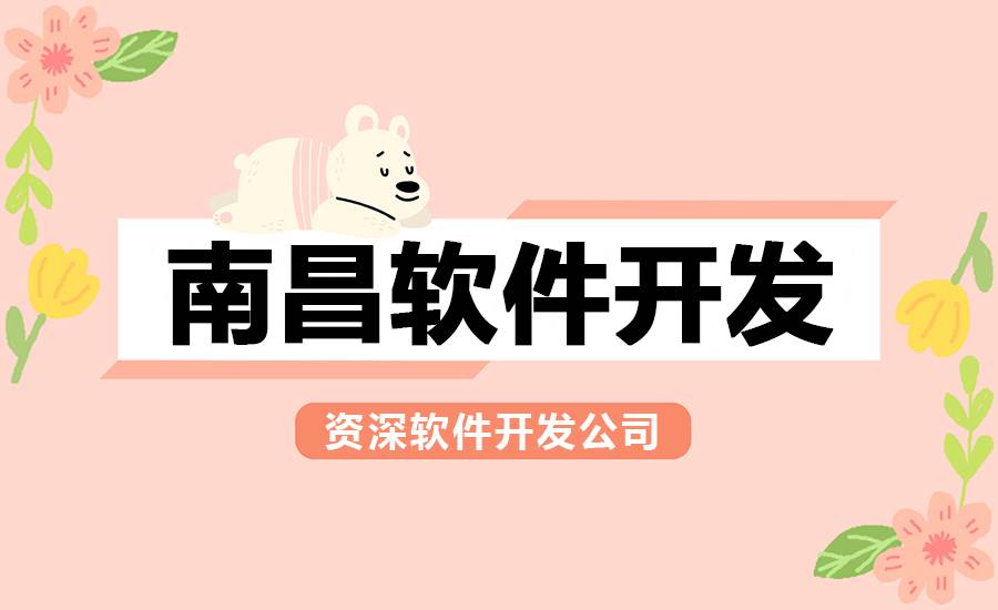 2026-01-05南昌定制开发网站制作，小程序app开发公司