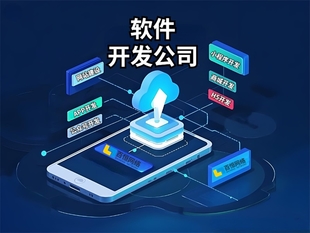 南昌有开发能力的团队,做网站小程序APP软件