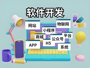 江西技术型开发公司,做网站小程序APP软件
