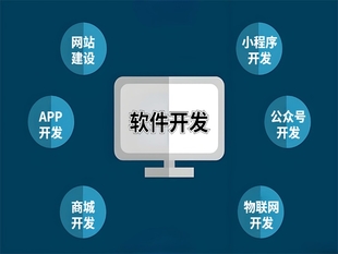 江西技术型开发公司,做网站小程序APP软件