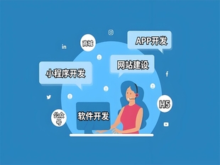 江西依托软件技术开发网站小程序APP的公司