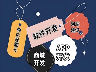 江西做企业网站建设软件开发小程序APP开发